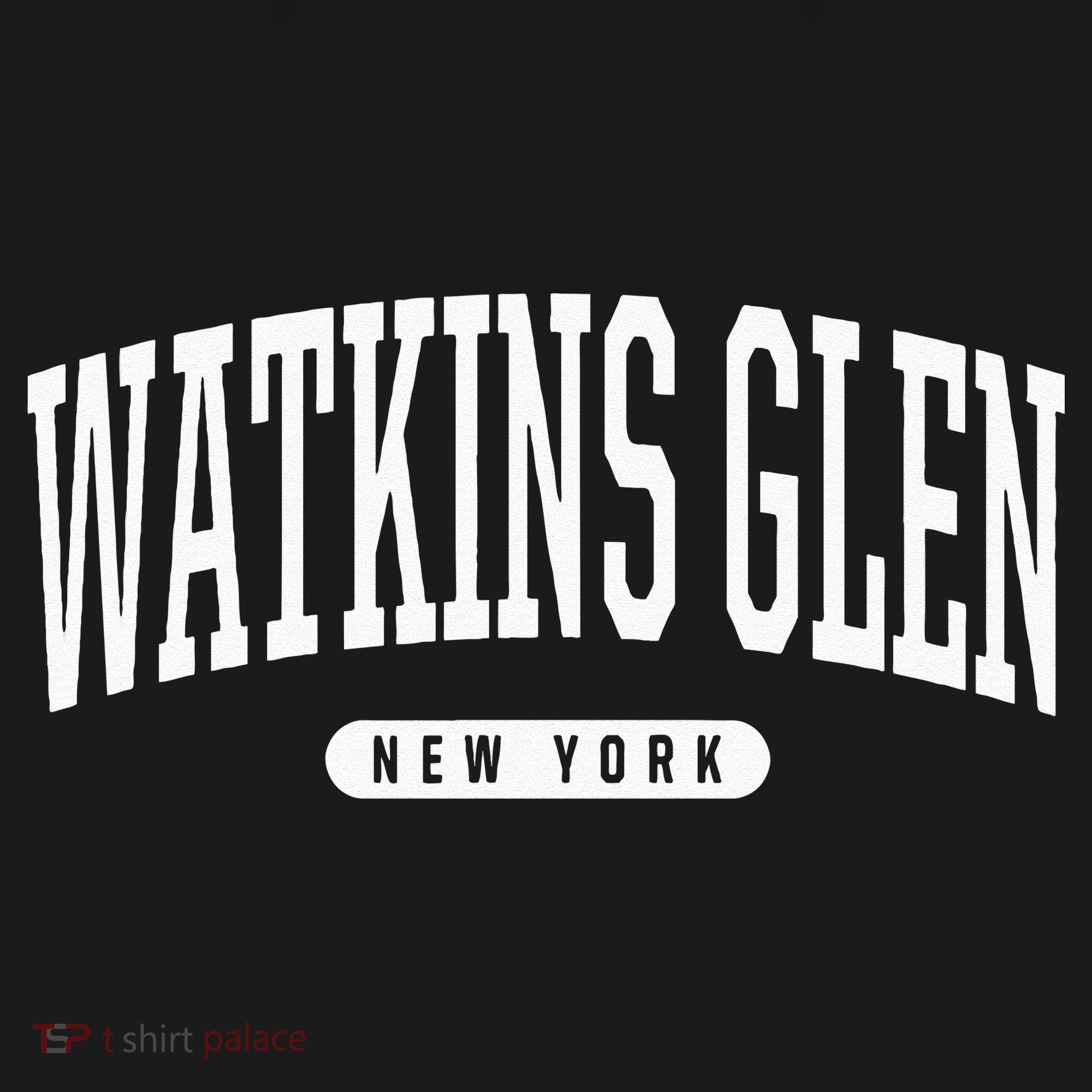 College Style Watkins Glen New York Souvenir Gift  Women's Hoodie