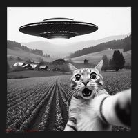 Cat Selfie With Alien Ufo Funny Cat Gifts Women's Hoodie thumb 2