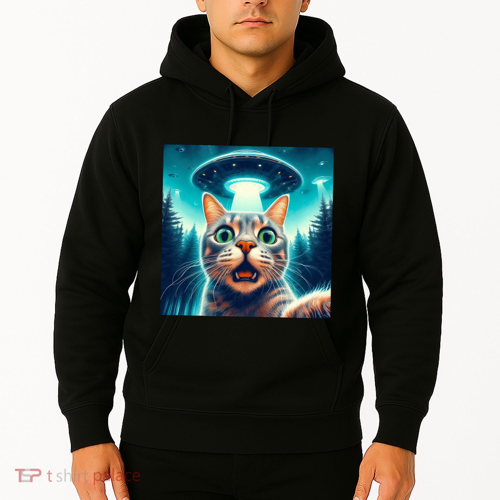 Cat Selfie With Ufo Cat Lover Meme Hoodie