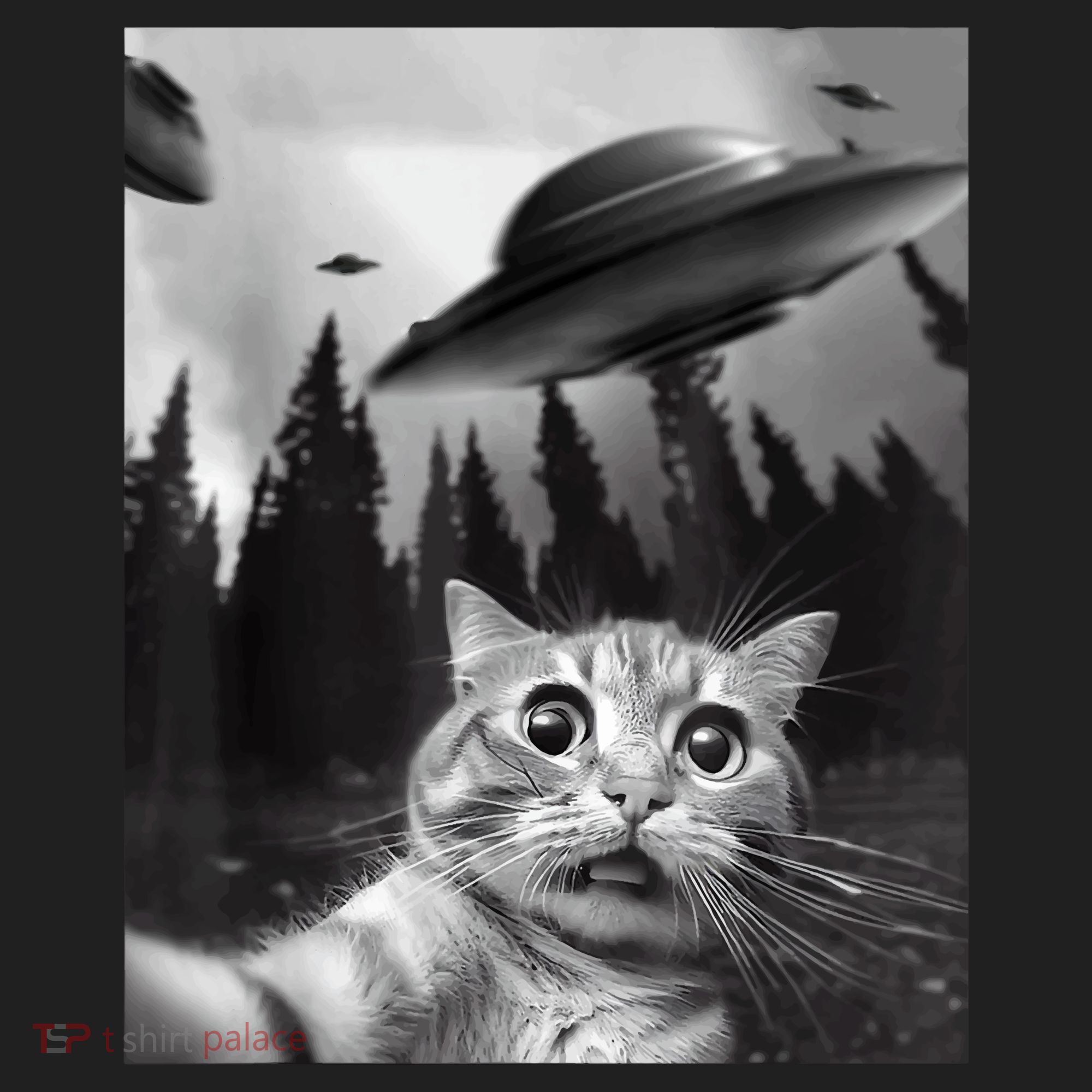 Cat Selfie With Alien UFO Funny Cat Lovers Spaceship Gift Women's Sweatshirt