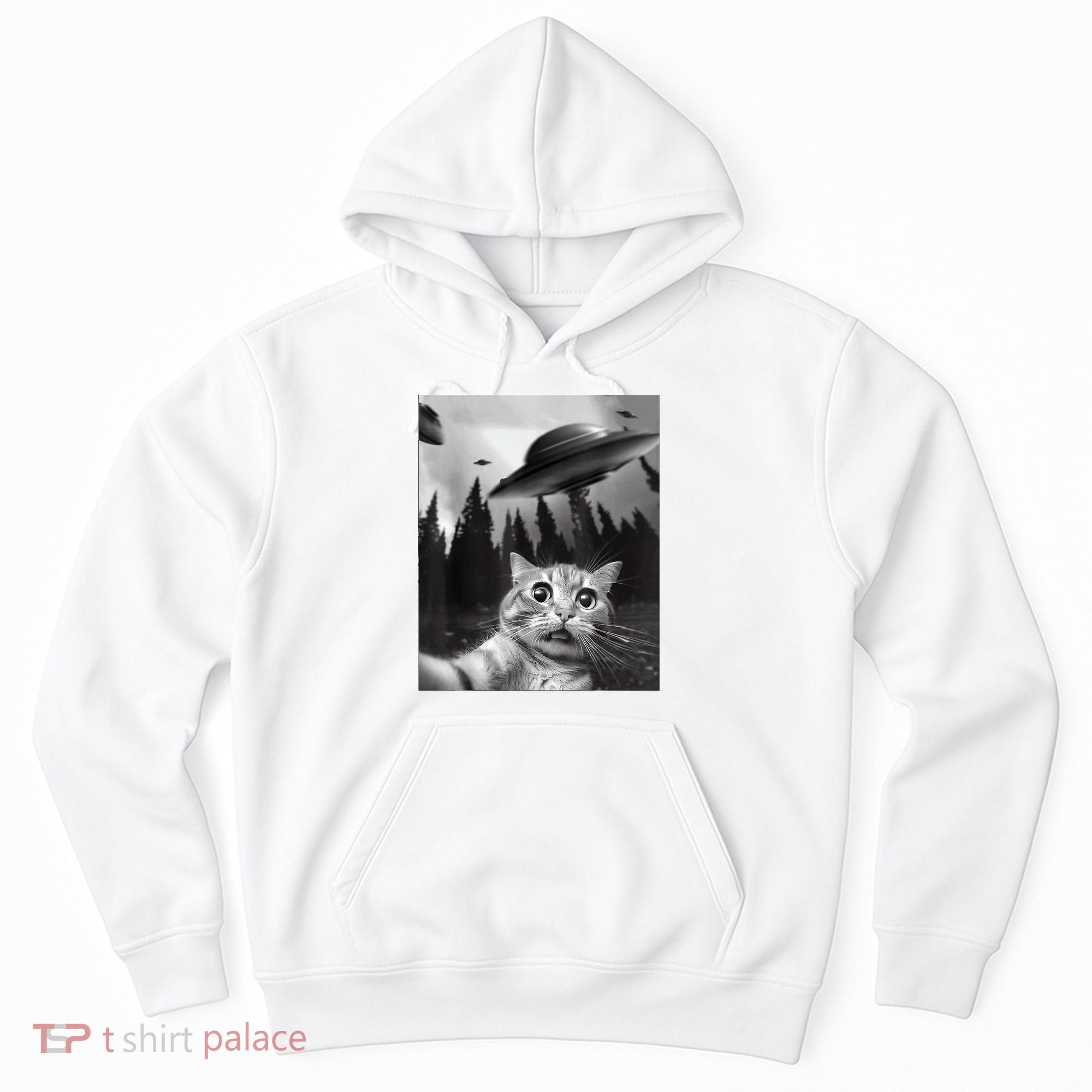 Cat Selfie With Alien UFO Funny Cat Lovers Spaceship Gift Hoodie