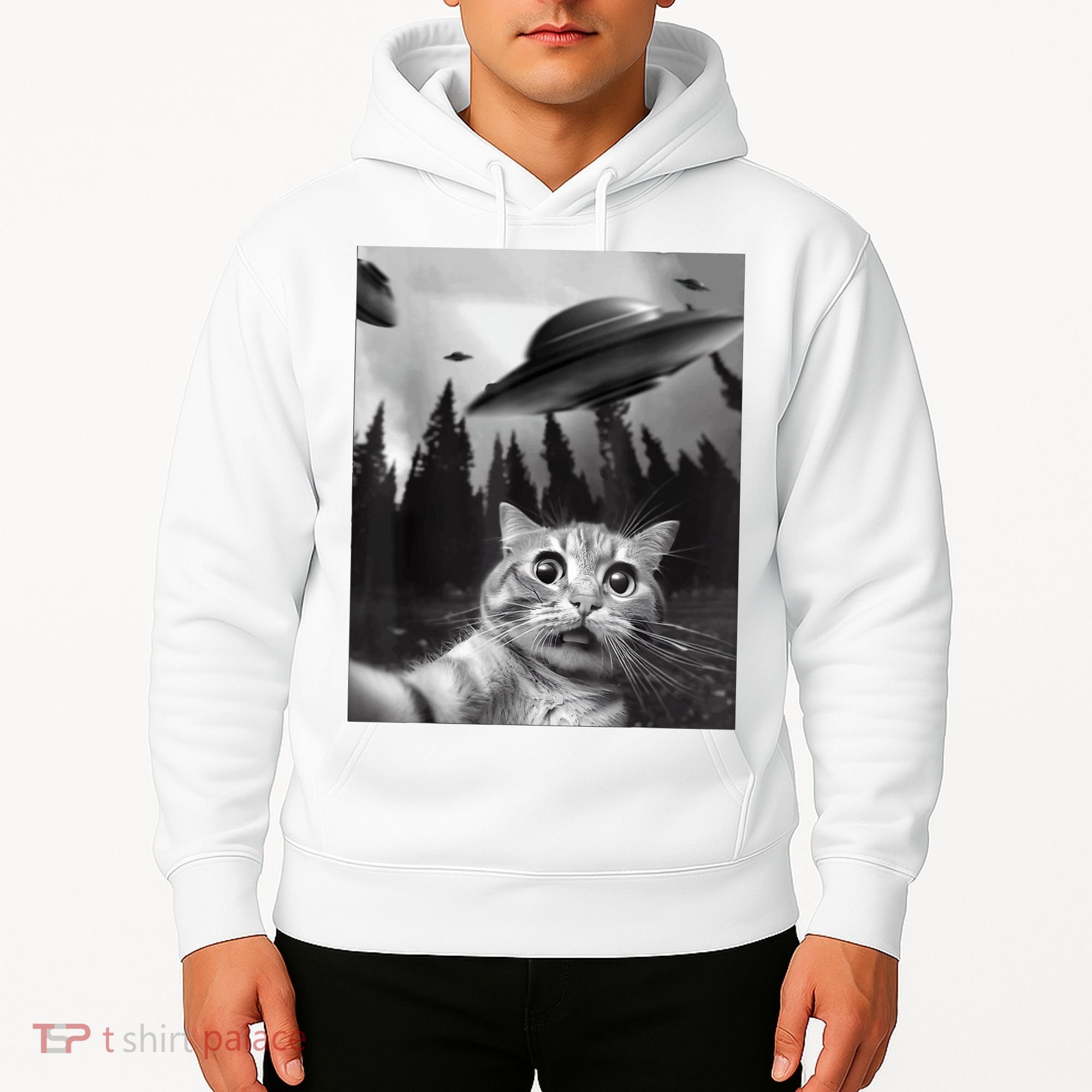 Cat Selfie With Alien UFO Funny Cat Lovers Spaceship Gift Hoodie
