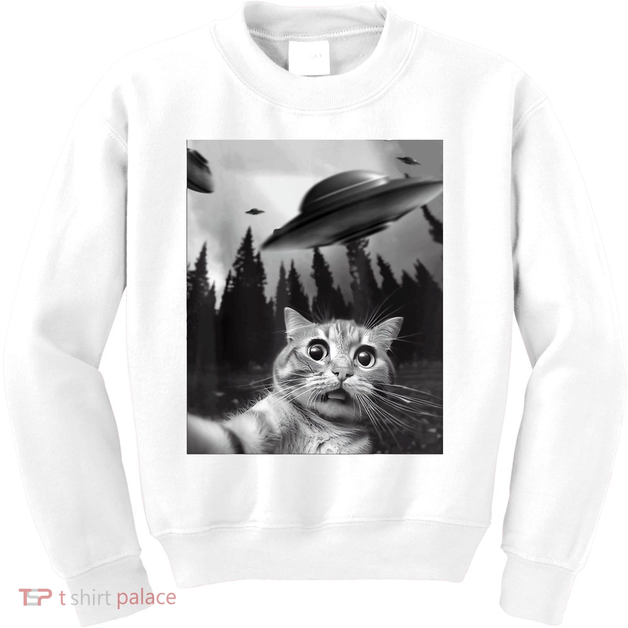 Cat Selfie With Alien UFO Funny Cat Lovers Spaceship Gift Kids Sweatshirt