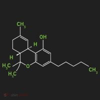 Cannabis Shirts Weed Pot Molecule THC Marijuana Stoner Gift Tumbler thumb 3