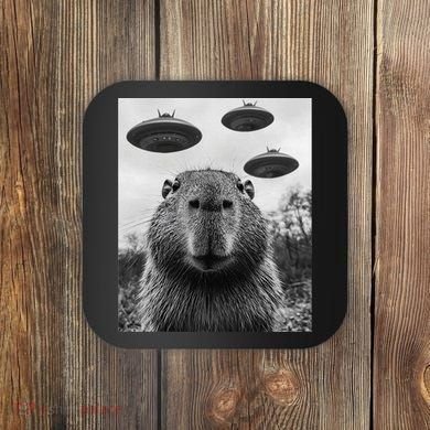 Capybara Selfie With Ufos Funny Graphic Coaster