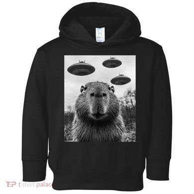 Capybara Selfie With Ufos Funny Graphic Toddler Hoodie