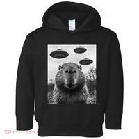 Capybara Selfie With Ufos Funny Graphic Toddler Hoodie thumb 0