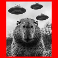 Capybara Selfie With Ufos Funny Graphic Santa Hat thumb 1