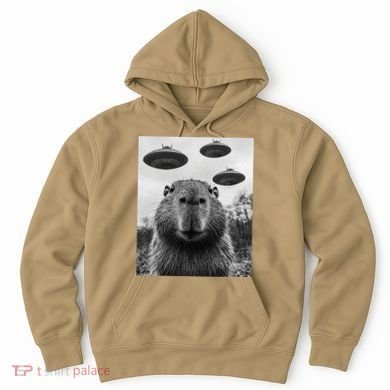 Capybara Selfie With Ufos Funny Graphic Hoodie