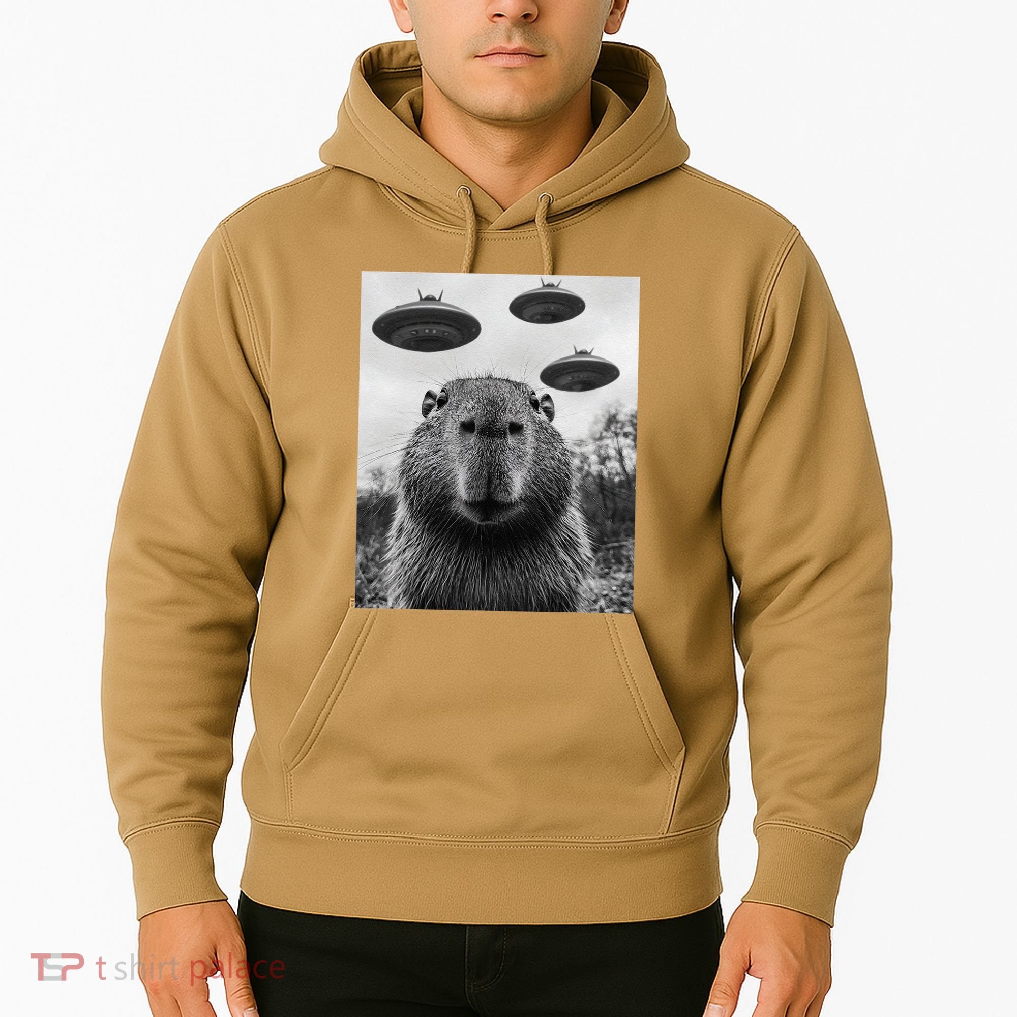 Capybara Selfie With Ufos Funny Graphic Hoodie