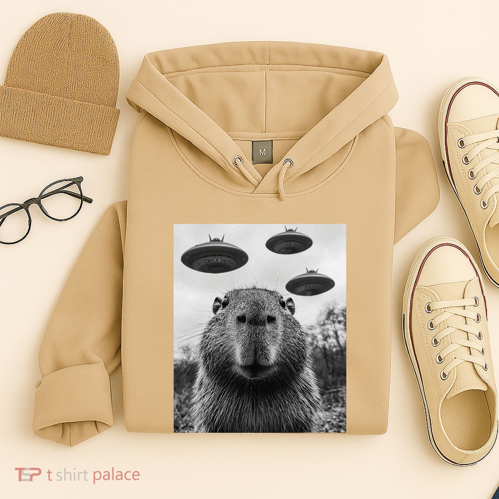 Capybara Selfie With Ufos Funny Graphic Hoodie