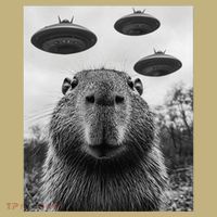 Capybara Selfie With Ufos Funny Graphic Hoodie thumb 7