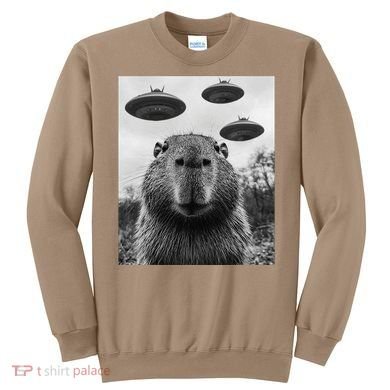 Capybara Selfie With Ufos Funny Graphic Sweatshirt