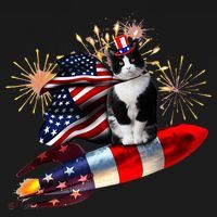 Cat Tuxedo 4th Of July Rocket With Fireworks USA Patriotic Sweatshirt thumb 3