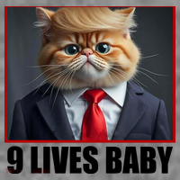 Cat Trump 9 Lives Baby Toddler Hoodie thumb 2