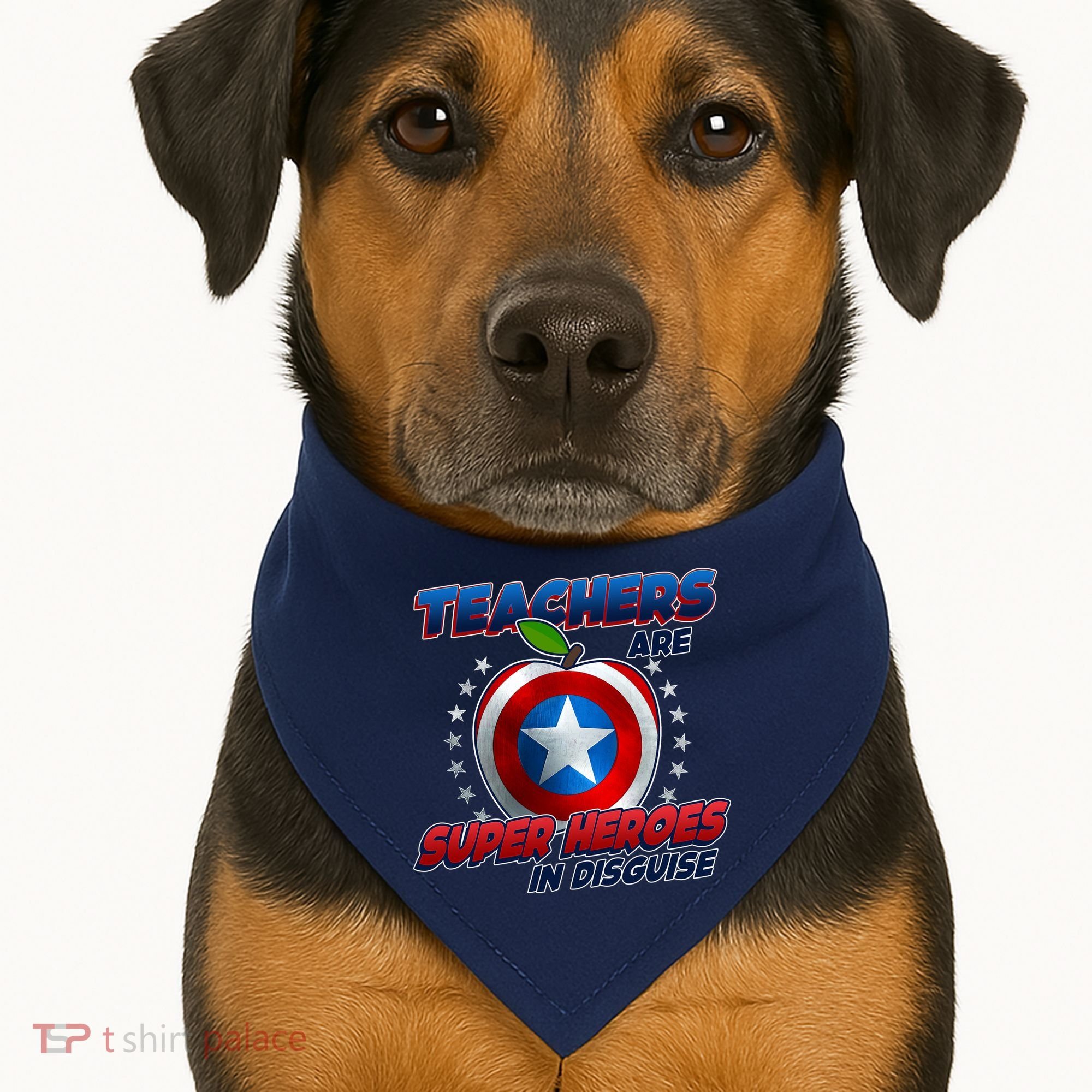 Cool Teachers Are Super Heroes In Disguise USA-Made Doggie Bandana