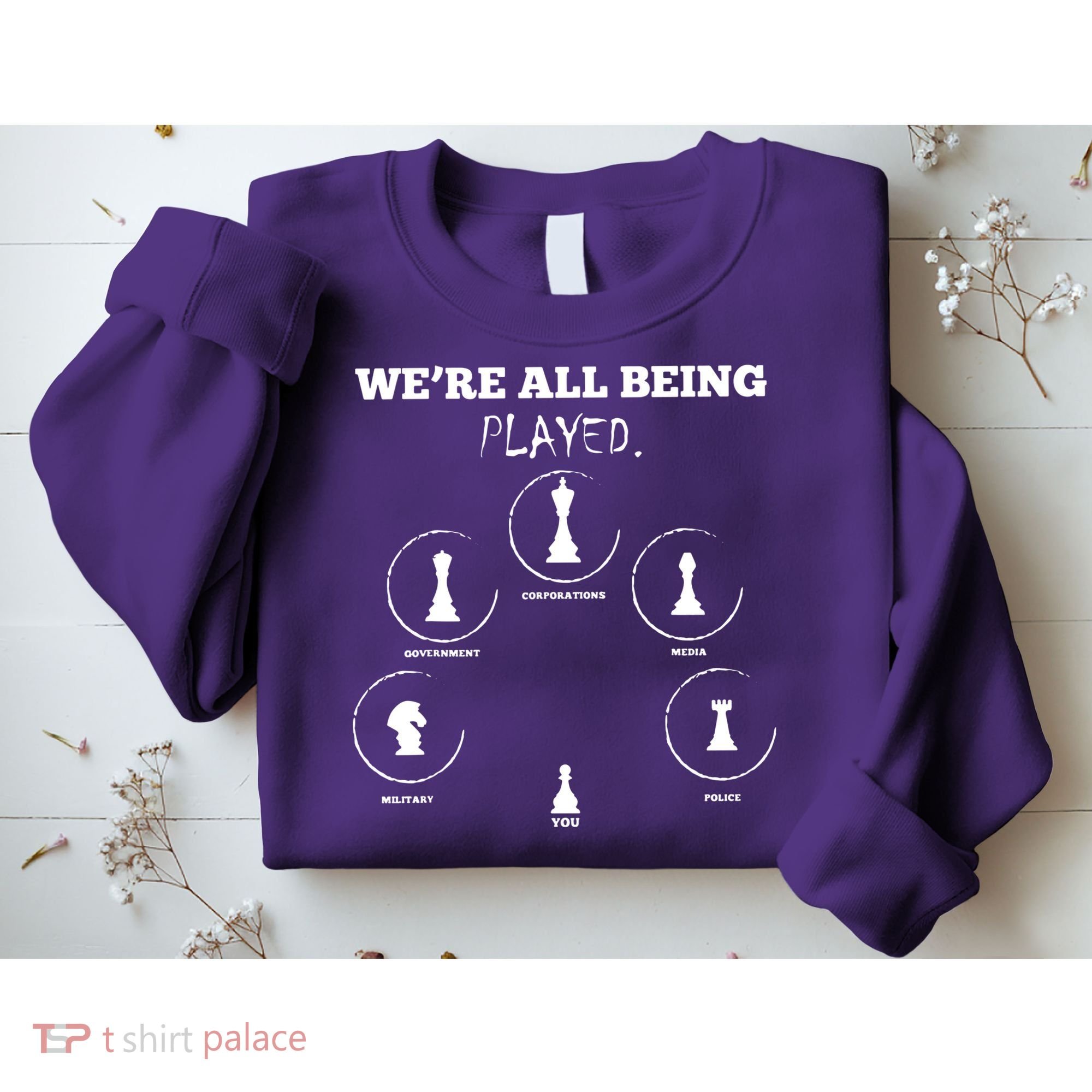 Conspiracy Theorist Anti Government Conspiracy Chess Sweatshirt