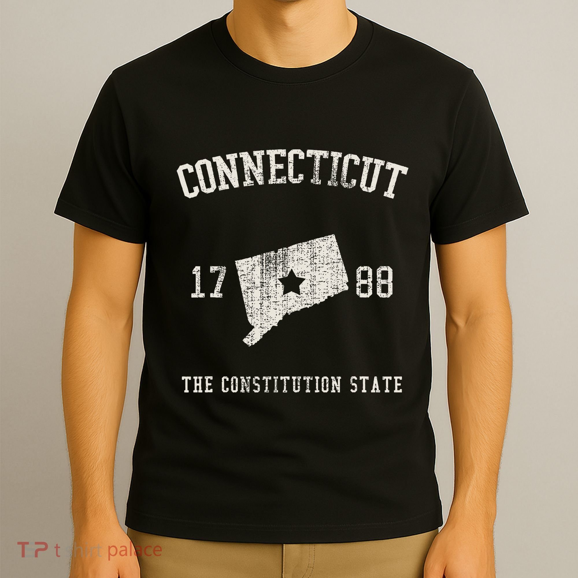 Connecticut The Constitution State Vintage T-Shirt