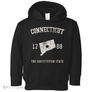 Connecticut The Constitution State Vintage Toddler Hoodie