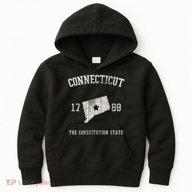 Connecticut The Constitution State Vintage Kids Hoodie
