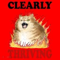 Clearly Thriving Cat Flame Funny Gift Santa Hat thumb 1