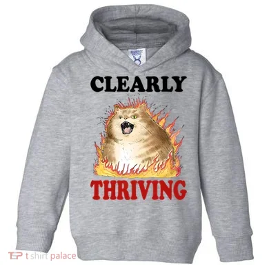 Toddler Hoodie
