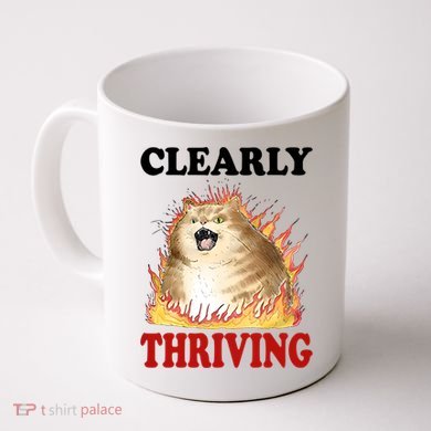 Clearly Thriving Cat Flame Funny Gift Coffee Mug