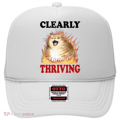 Clearly Thriving Cat Flame Funny Gift Hat