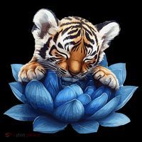 Cute Tiger Cub Blue Lotus Nature Tranquility Women's Hoodie thumb 2