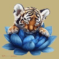 Cute Tiger Cub Blue Lotus Nature Tranquility Hoodie thumb 7