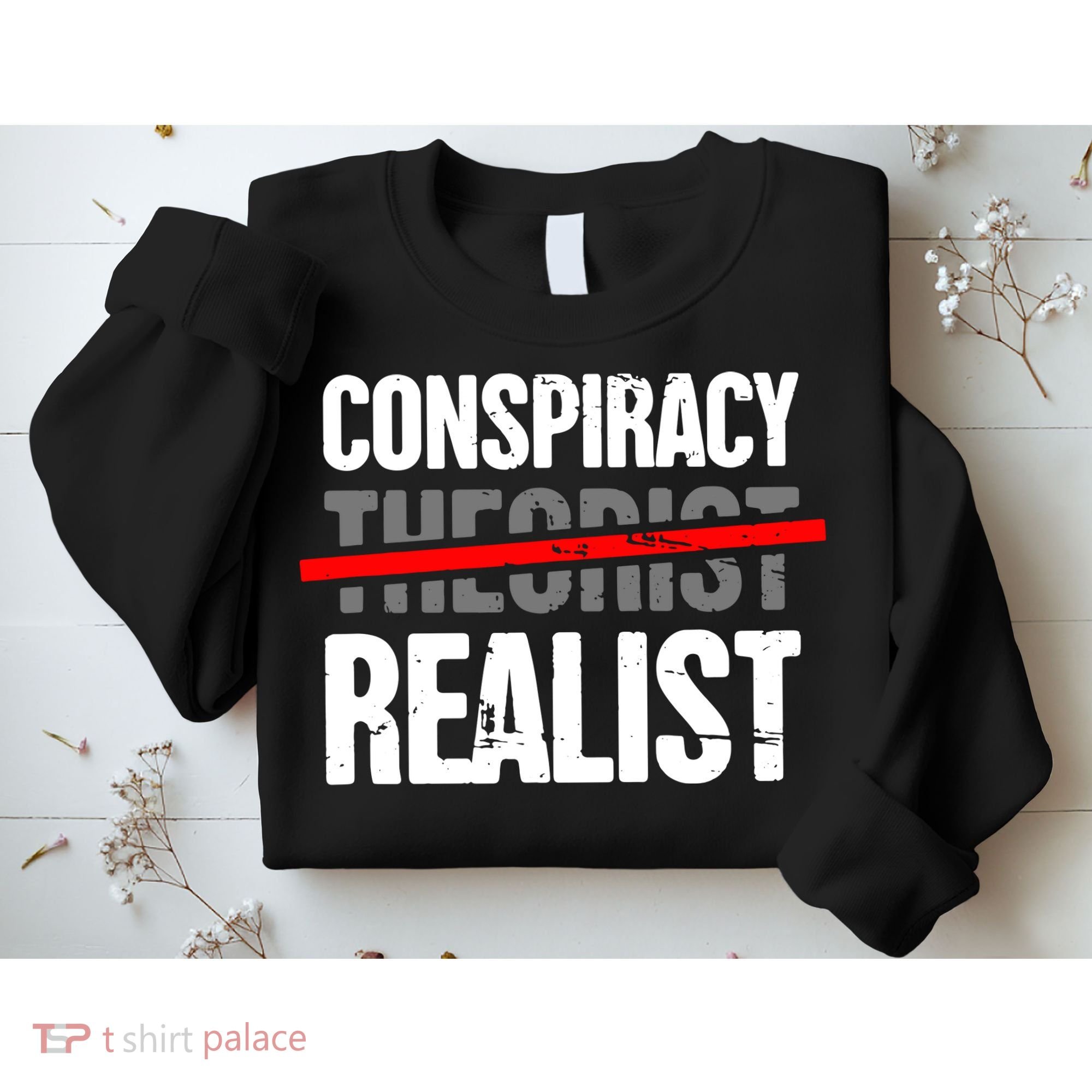 Conspiracy Theory Sweatshirt