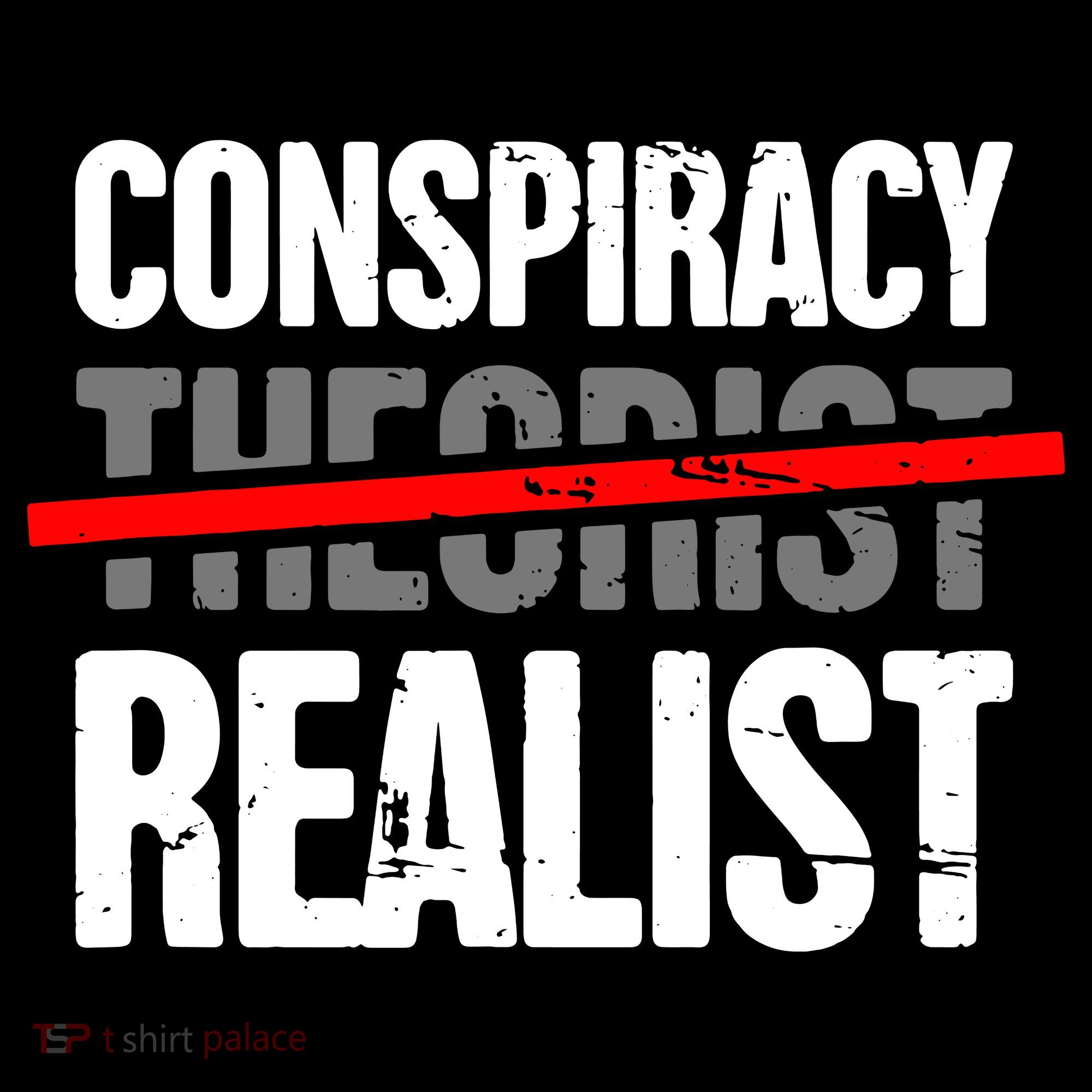 Conspiracy Theory Coffee Mug