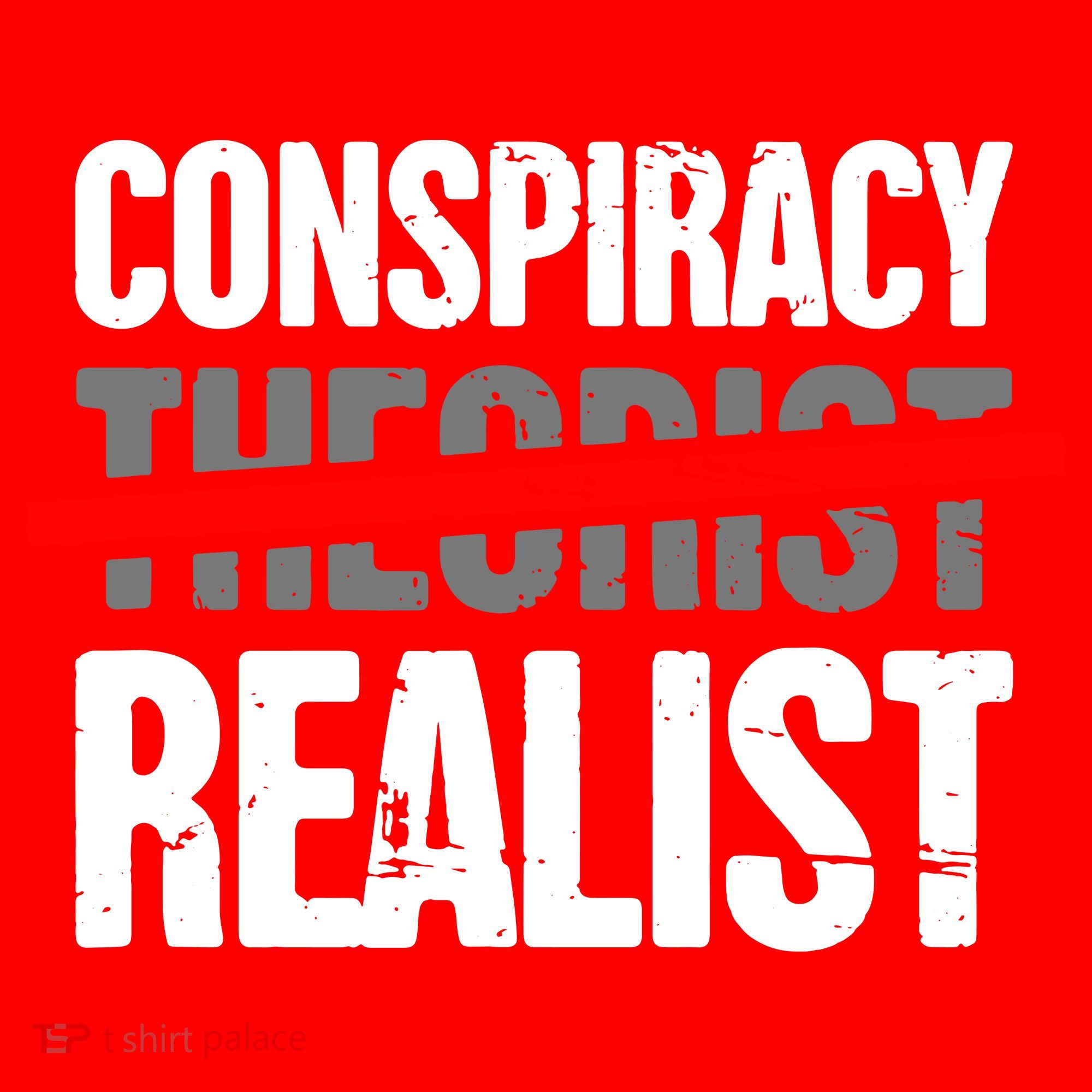 Conspiracy Theory Santa Hat