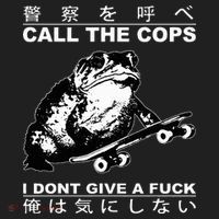 Call The Cops I Don’T Give A Fck Skateboarding Toad Japanese Beanie thumb 2