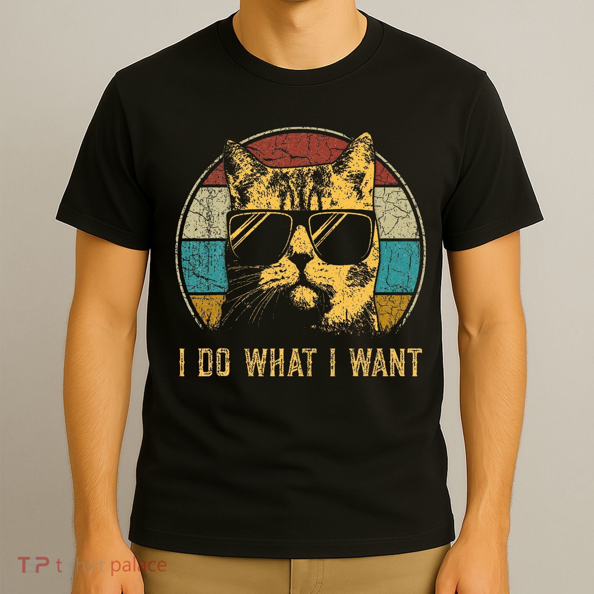 Cat Themed Funny I Do What I Want Cat T-Shirt