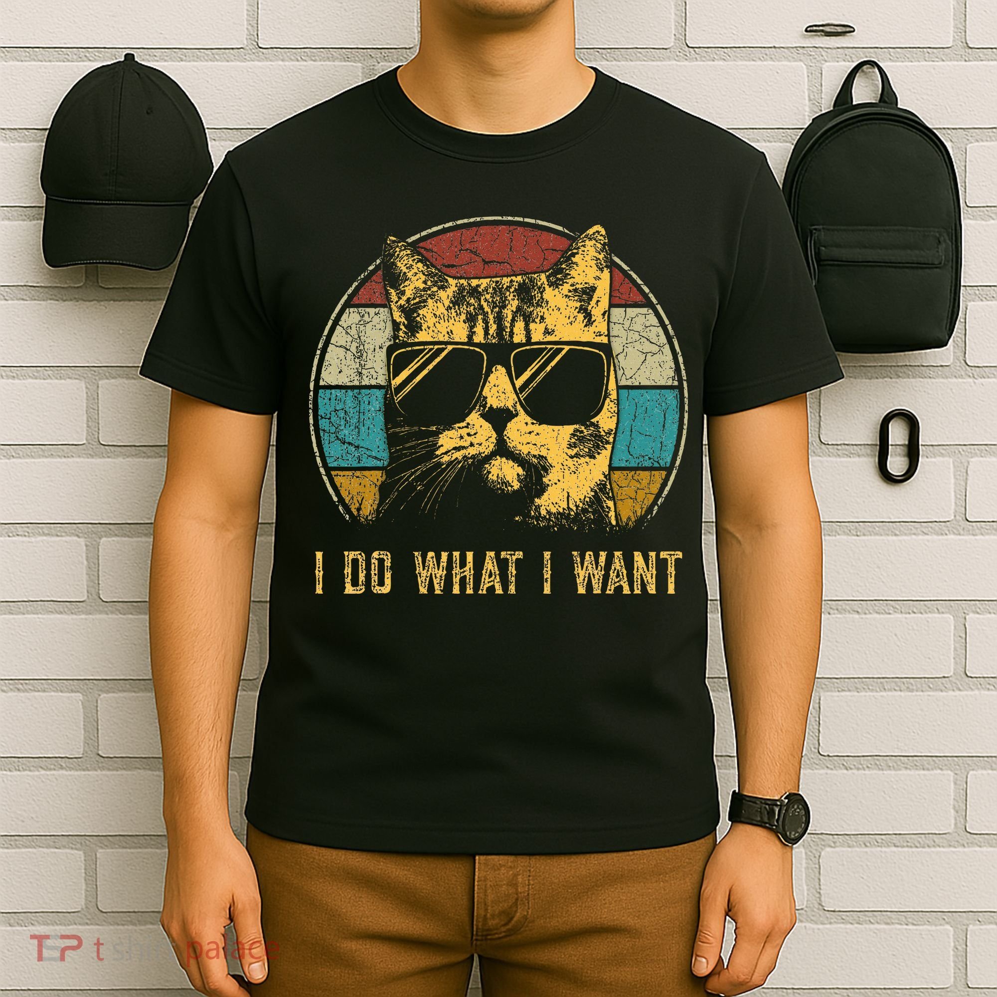 Cat Themed Funny I Do What I Want Cat T-Shirt