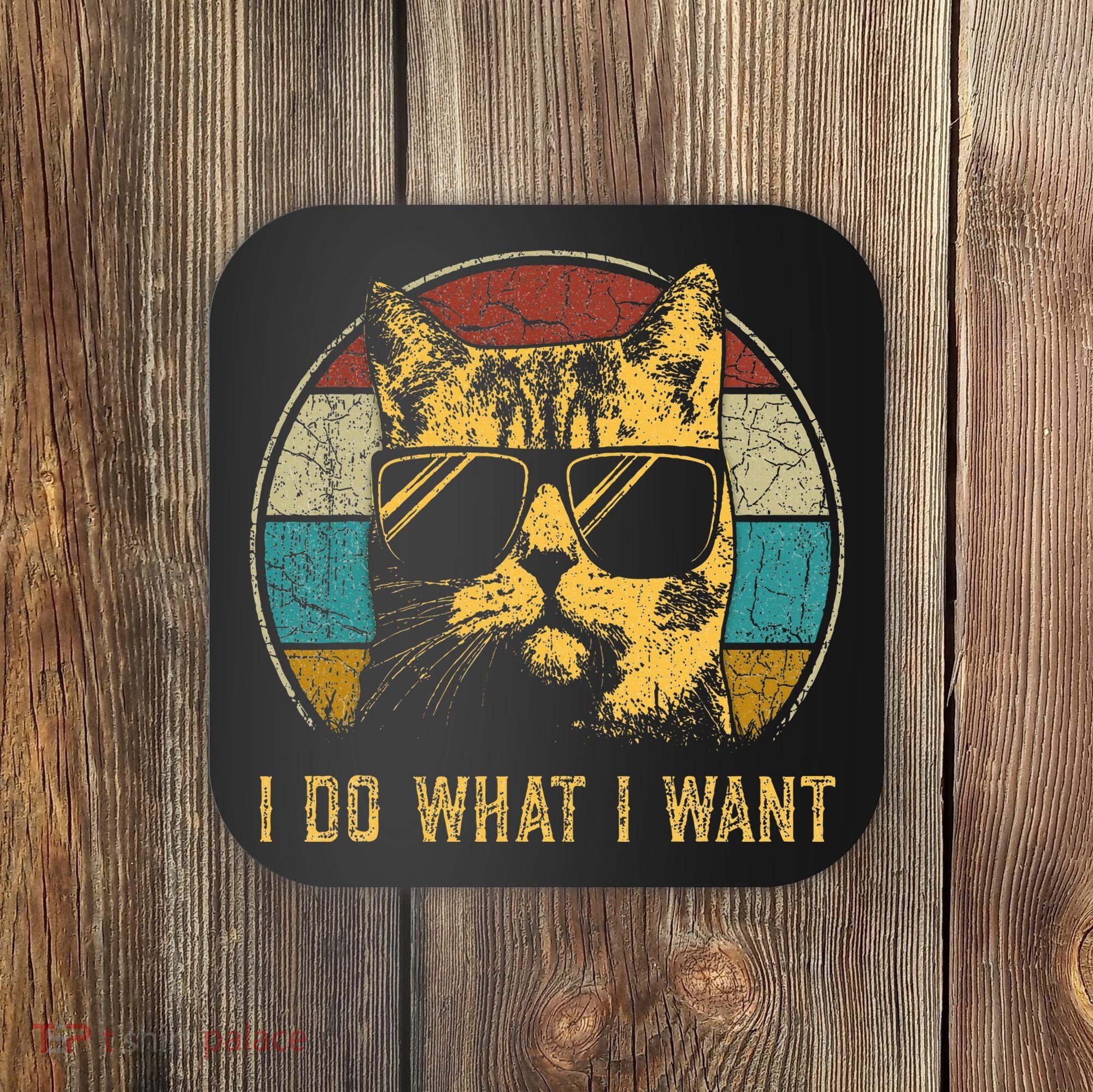 Cat Themed Funny I Do What I Want Cat Coaster