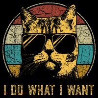 Cat Themed Funny I Do What I Want Cat Women's Hoodie thumb 2