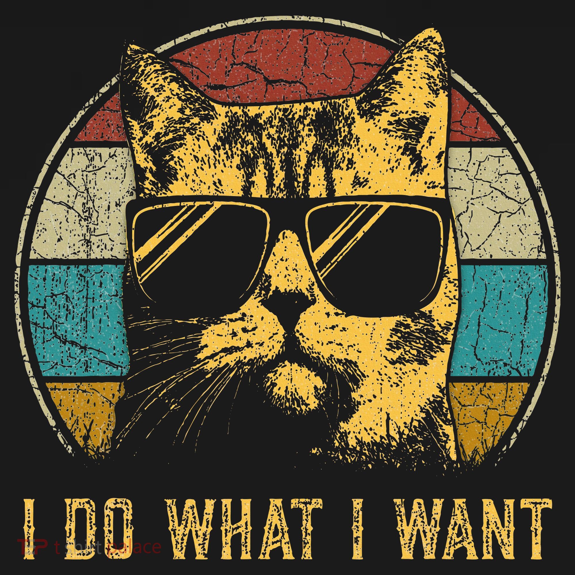 Cat Themed Funny I Do What I Want Cat Women's Tank Top