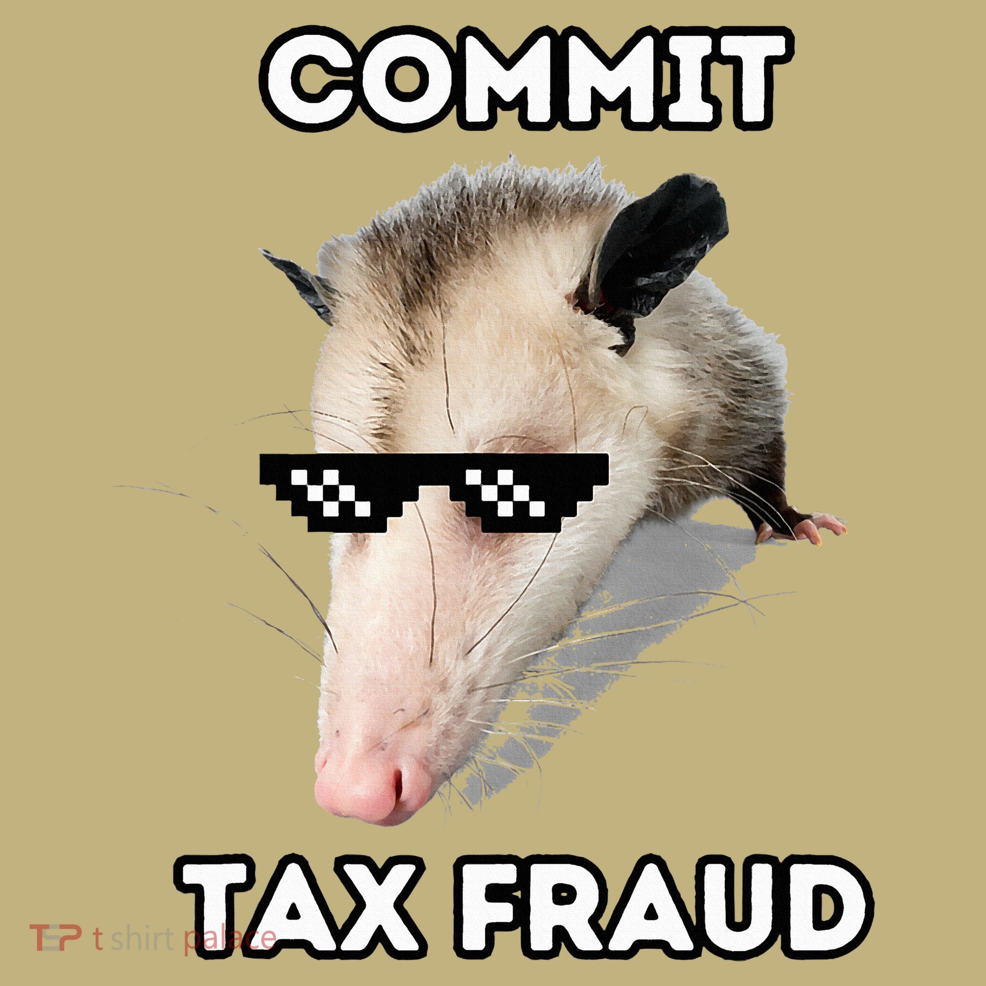 Commit Tax Fraud Hoodie