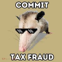 Commit Tax Fraud Long Sleeve Shirt thumb 2