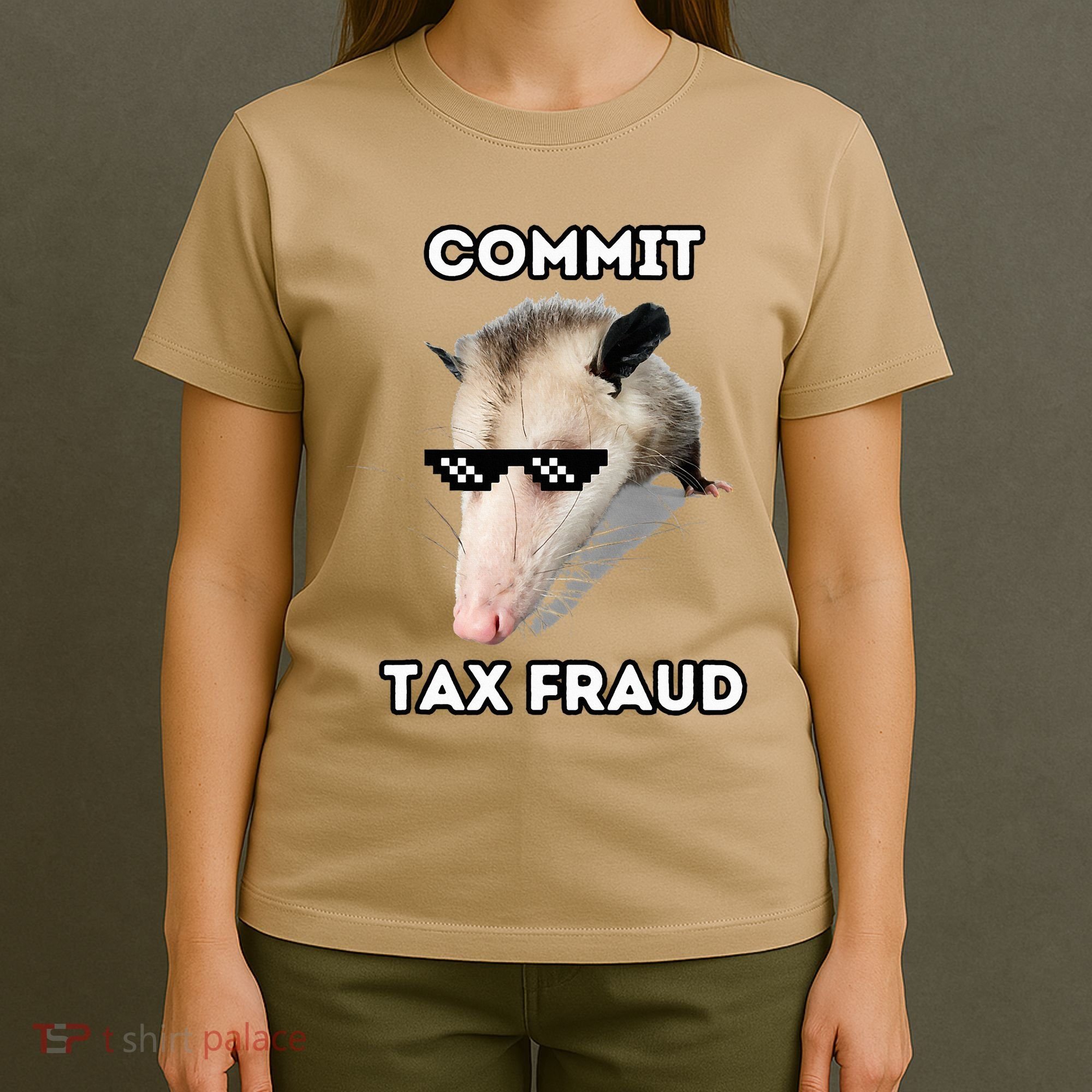 Commit Tax Fraud T-Shirt