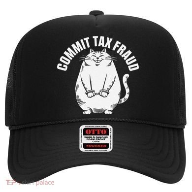 Commit Tax Fraud Funny Cat Meme Sarcastic Humorous Hat