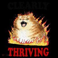Clearly Thriving Funny Fire Cat Meme Cat Lover Cat Mom Coffee Mug thumb 5