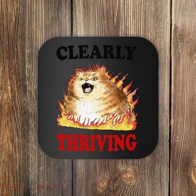 Clearly Thriving Funny Fire Cat Meme Cat Lover Cat Mom Coaster