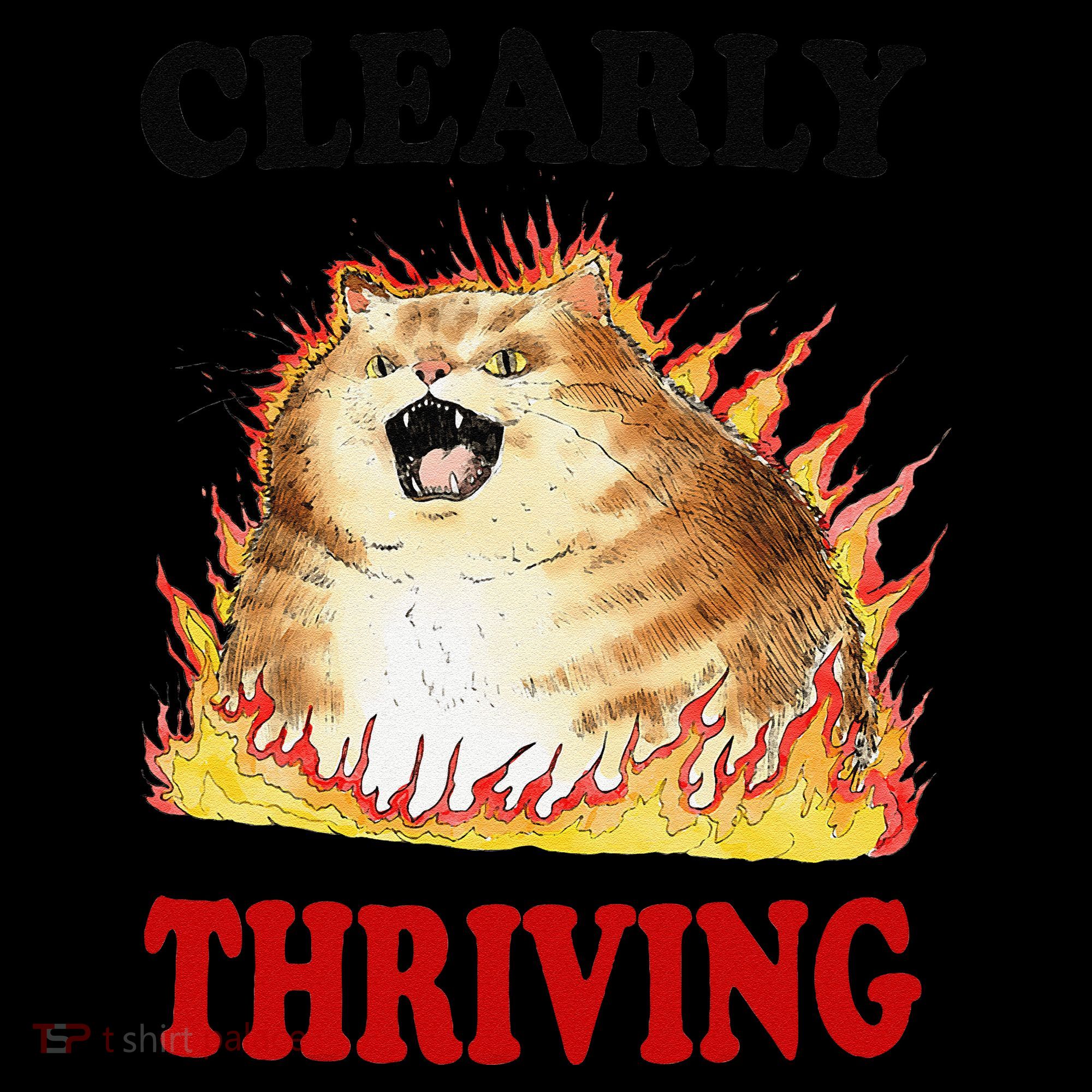 Clearly Thriving Funny Fire Cat Meme Cat Lover Cat Mom Women's Hoodie