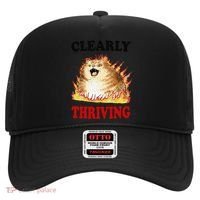 Clearly Thriving Funny Fire Cat Meme Cat Lover Cat Mom Hat thumb 0