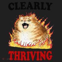 Clearly Thriving Funny Fire Cat Meme Cat Lover Cat Mom Hat thumb 2