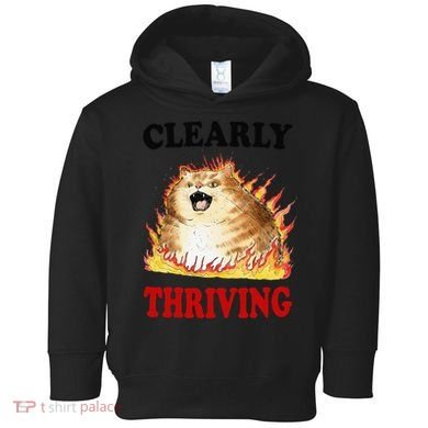 Clearly Thriving Funny Fire Cat Meme Cat Lover Cat Mom Toddler Hoodie