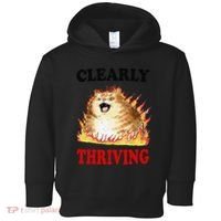 Clearly Thriving Funny Fire Cat Meme Cat Lover Cat Mom Toddler Hoodie thumb 0
